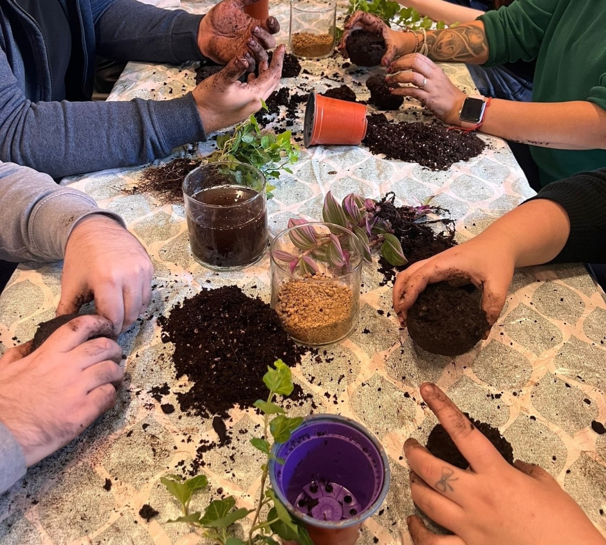 Workshop Kokedama