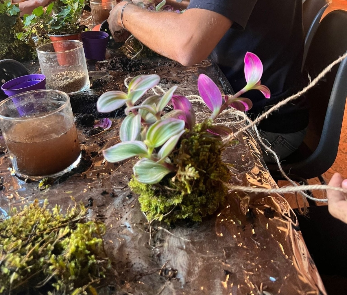 Workshop Kokedama
